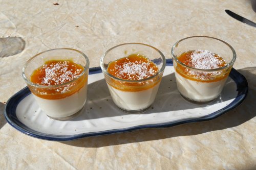 panna cotta - votre dieteticienne - valerie coureau